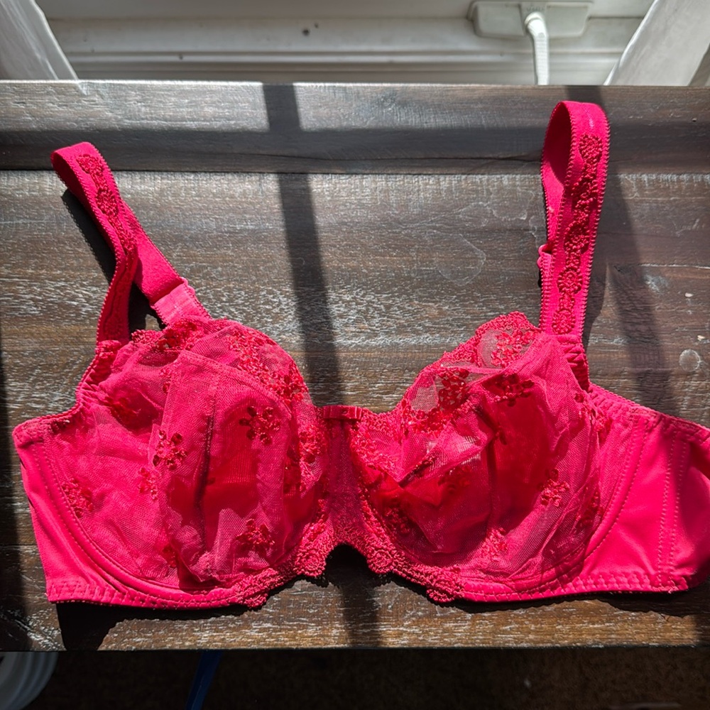 Kris RED Unlined Underwire - Size EU 90 F